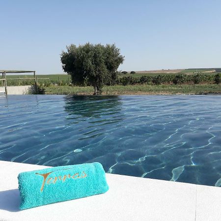 Terras - Agroturismo & Vinhos Beja Exteriér fotografie