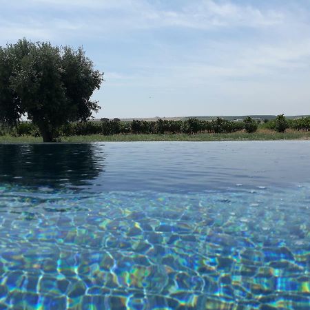 Terras - Agroturismo & Vinhos Beja Exteriér fotografie